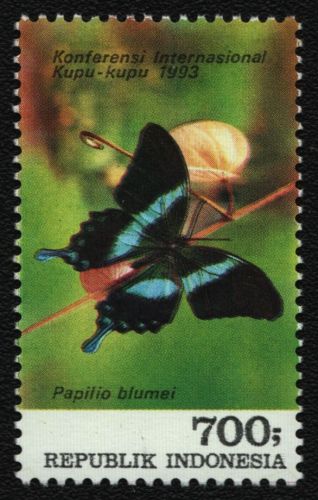 Indonesien 1993 - Mi-Nr. 1479 ** - MNH - Schmetterlinge / Butterflies