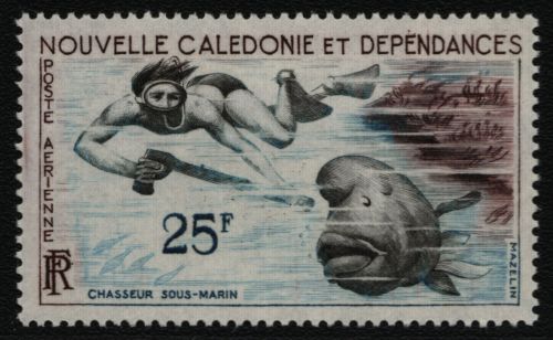 Neukaledonien 1962 - Mi-Nr. 381 ** - MNH - Fische / Fish