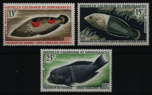 Neukaledonien 1965 - Mi-Nr. 415-417 ** - MNH - Fische / Fish