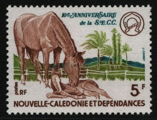 Neukaledonien 1977 - Mi-Nr. 602 ** - MNH - Pferde / Horses