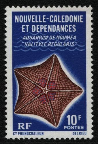 Neukaledonien 1978 - Mi-Nr. 610 ** - MNH - Meerestiere / Marine life