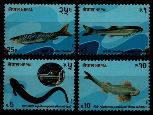 Nepal 1993 - Mi-Nr. 540-543 ** - MNH - Fische / Fish