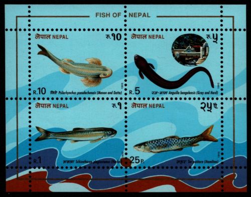 Nepal 1993 - Mi-Nr. Block 3 ** - MNH - Fische / Fish