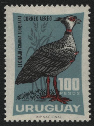 Uruguay 1966 - Mi-Nr. 1034 ** - MNH - Vögel / Birds