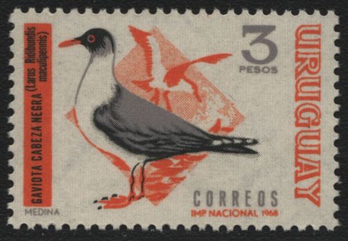 Uruguay 1969 - Mi-Nr. 1156 ** - MNH - Vögel / Birds