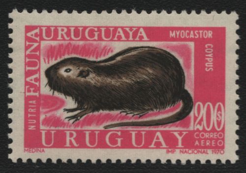 Uruguay 1971 - Mi-Nr. 1213 ** - MNH - Wildtiere / Wild animals