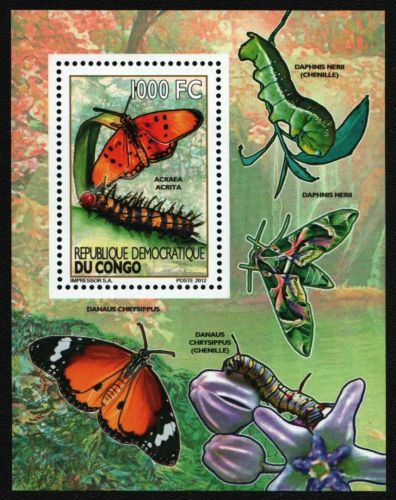 Kongo-Kinshasa 2012 - Mi-Nr. Block 516 A ** - MNH - Schmetterlinge / Butterflies