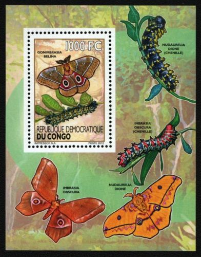 Kongo-Kinshasa 2012 - Mi-Nr. Block 519 A ** - MNH - Schmetterlinge / Butterflies