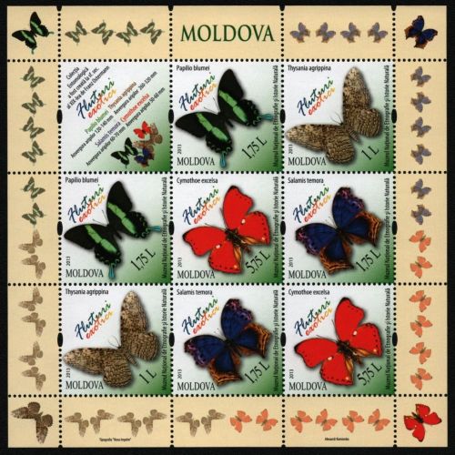 Moldawien 2013 - Mi-Nr. 838-841 ** - MNH - KLB - Schmetterlinge / Butterflies