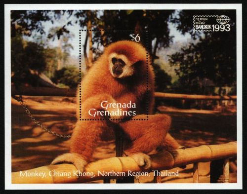 Grenada-Grenadinen 1993 - Mi-Nr. Block 284 ** - MNH - Schmetterlinge