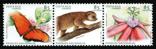 Costa Rica 2005 - Mi-Nr. 1616-1618 ** - MNH - Fauna & Flora (I)