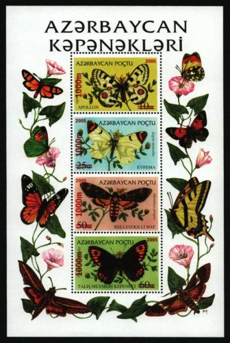 Aserbaidschan 2005 - Mi-Nr. Block 60 ** - MNH - Schmetterlinge / Butterflies