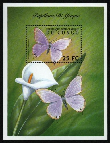 Kongo-Kinshasa 2001 - Mi-Nr. Block 111 ** - MNH - Schmetterlinge / Butterflies