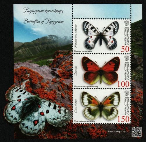 Kyrgyz Express Post - Mi-Nr. Block 29 ** - MNH - Schmetterlinge / Butterflies