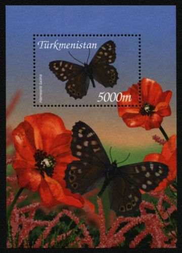 Turkmenistan 2002 - Mi-Nr. Block 21 ** - MNH - Schmetterlinge / Butterflies