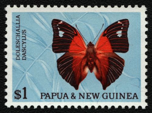 Papua-Neuguinea 1967 - Mi-Nr. 93 II ** - MNH - Schmetterlinge / Butterflies