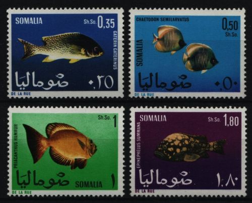 Somalia 1967 - Mi-Nr. 114-117 ** - MNH - Fische / Fish