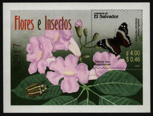 El Salvador 2003 - Mi-Nr. Block 60 ** - MNH - Schmetterlinge / Butterflies