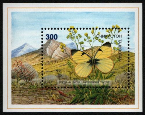 Tadschikistan 1998 - Mi-Nr. Block 13 ** - MNH - Schmetterlinge / Butterflies