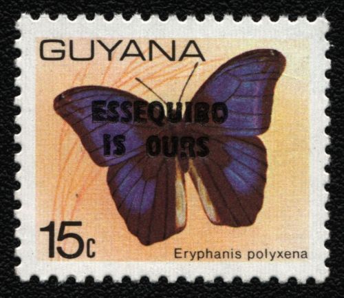 Guyana 1981 - Mi-Nr. 650 II ** - MNH - Schmetterlinge / Butterflies