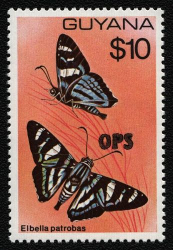 Guyana 1981 - Dienst - Mi-Nr. 18 ** - MNH - Schmetterlinge / Butterflies