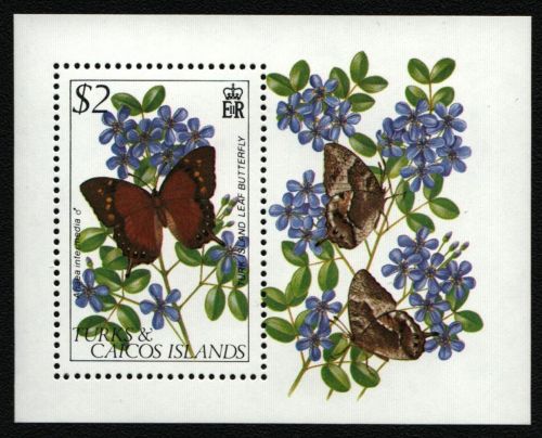 Turks- & Caicos 1982 - Mi-Nr. Block 35 ** - MNH - Schmetterlinge / Butterflies