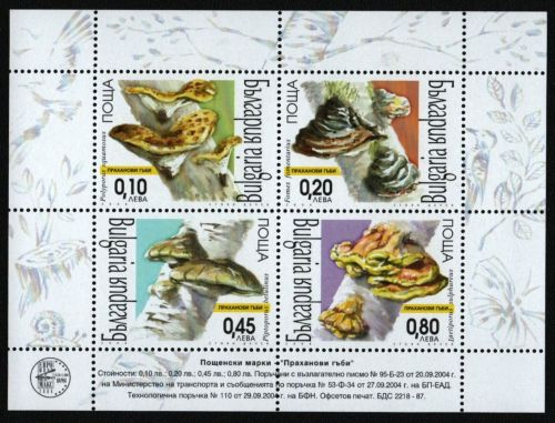 Bulgarien 2004 - Mi-Nr. Block 268 ** - MNH - Pilze / Mushrooms