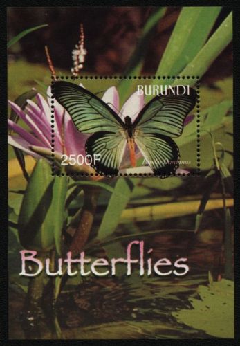 Burundi 2004 - Mi-Nr. Block 144 ** - MNH - Schmetterlinge / Butterflies