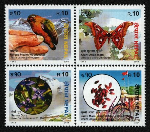 Nepal 2004 - Mi-Nr. 794-797 ** - MNH - Fauna & Flora