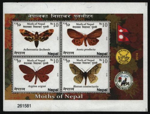 Nepal 2014 - Mi-Nr. Block 7 ** - MNH - Schmetterlinge / Butterflies