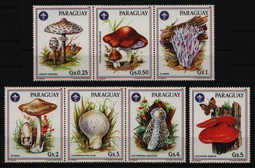 Paraguay 1986 - Mi-Nr. 3950-3956 ** - MNH - Pilze - Schmetterlinge - Pfadfinder