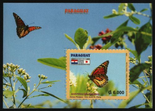 Paraguay 2006 - Mi-Nr. Block 477 ** - MNH - Schmetterlinge / Butterflies