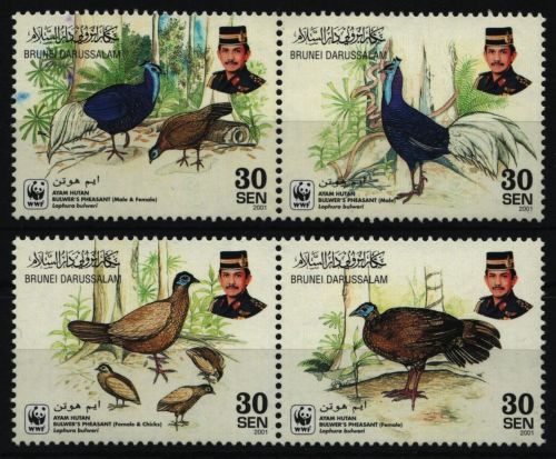 Brunei 2001 - Mi-Nr. 622-625 ** - MNH - Vögel / Birds