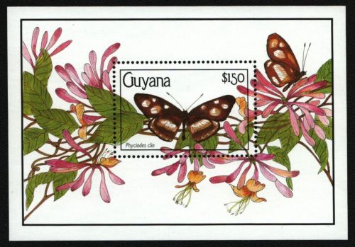 Guyana 1990 - Mi-Nr. Block 102 ** - MNH - Schmetterlinge / Butterflies