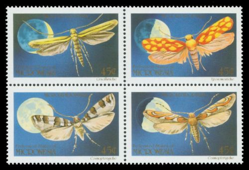 Mikronesien 1990 - Mi-Nr. 199-202 ** - MNH - Schmetterlinge / Butterflies