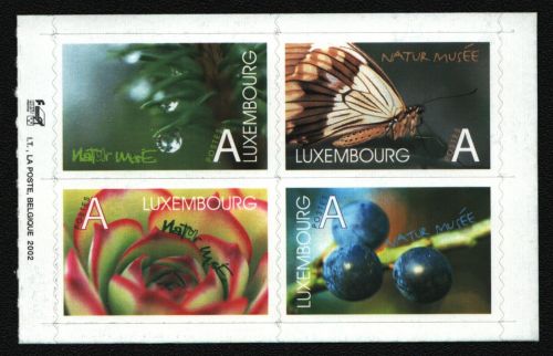 Luxemburg 2002 - Mi-Nr. 1585-1588 ** - MNH - Naturmuseum - Schmetterlinge