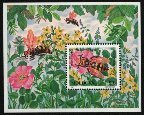 Moldawien 1997 - Mi-Nr. Block 13 ** - MNH - Insekten / Insects