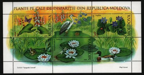 Moldawien 2008 - Mi-Nr. Block 39 ** - MNH - Schmetterlinge - Fauna