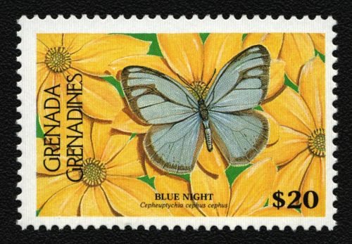 Grenada-Grenadinen 1986 - Mi-Nr. 776 C ** - MNH - Schmetterlinge / Butterflies