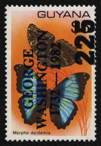 Guyana 1985 - Mi-Nr. 1298 ** - MNH - Schmetterlinge / Butterflies