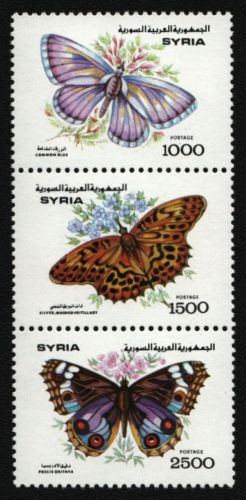 Syrien 1993 - Mi-Nr. 1879-1881 ** - MNH - Schmetterlinge / Butterflies