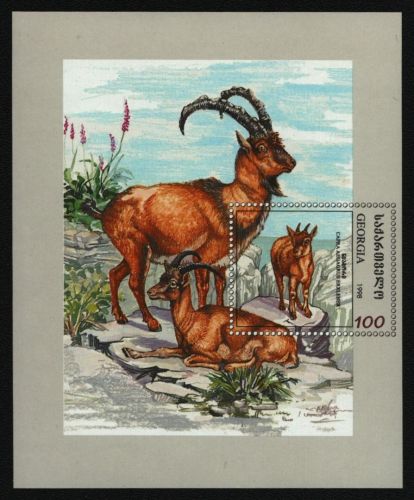 Georgien 1999 - Mi-Nr. Block 18 ** - MNH - Wildtiere / Wild animals