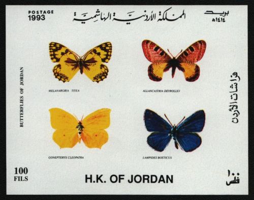 Jordanien 1993 - Mi-Nr. Block 70 ** - MNH - Schmetterlinge / Butterflies