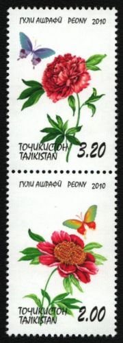 Tadschikistan 2010 - Mi-Nr. 552-553 ** - MNH - Blumen - Schmetterlinge
