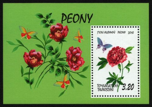 Tadschikistan 2010 - Mi-Nr. Block 56 ** - MNH - Blumen - Schmetterlinge