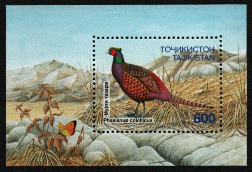 Tadschikistan 1996 - Mi-Nr. Block 6 ** - MNH - Vögel / Birds