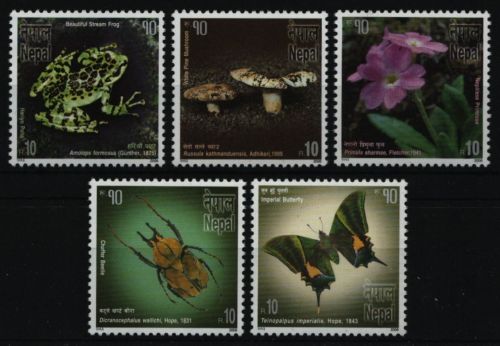 Nepal 2006 - Mi-Nr. 865-869 ** - MNH - Fauna & Flora