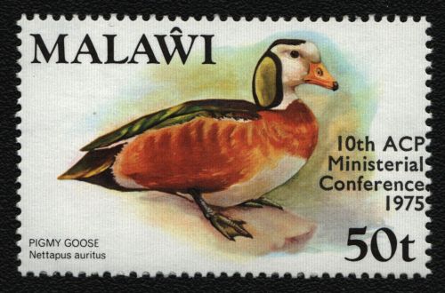 Malawi 1975 - Mi-Nr. 254 ** - MNH - Vögel / Birds
