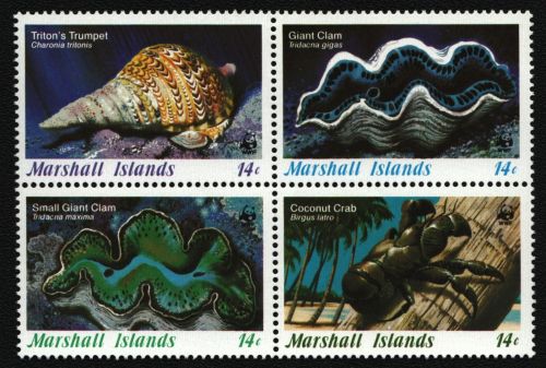 Marshall-Inseln 1986 - Mi-Nr. 73-76 ** - MNH - ZDR - Meeresleben / Marine Life