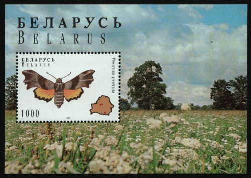 Belarus 1996 - Mi-Nr. Block 7 ** - MNH - Schmetterlinge / Butterflies